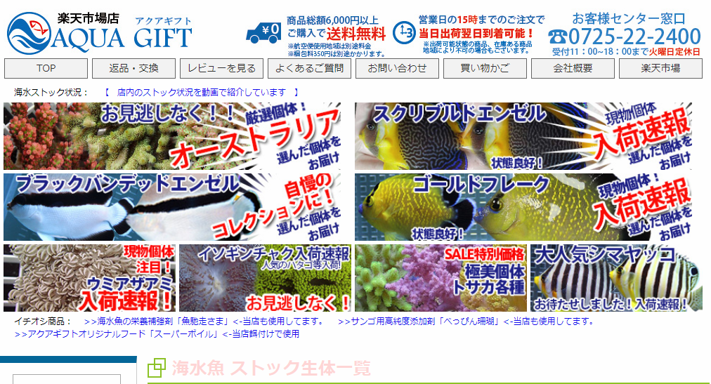 海水魚専門通販サイトアクアギフトの画像